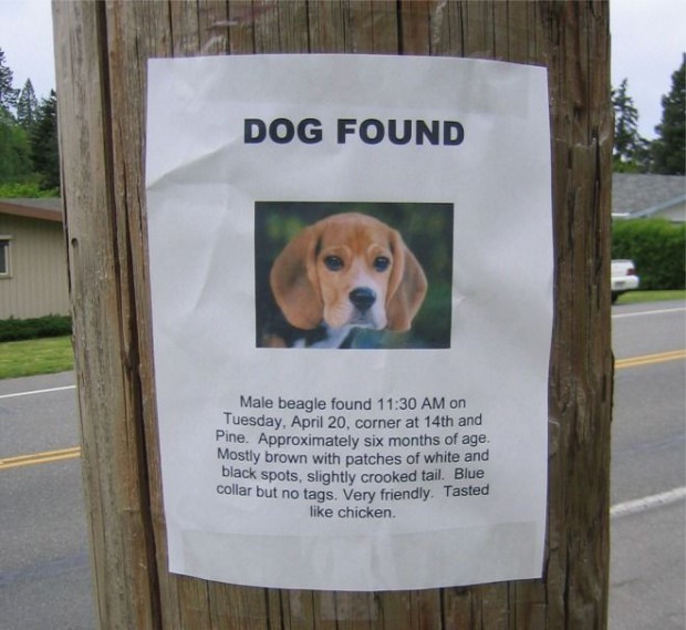 Entlaufener Hund gefunden
