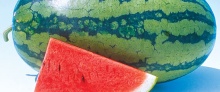 Japanische Wassermelone